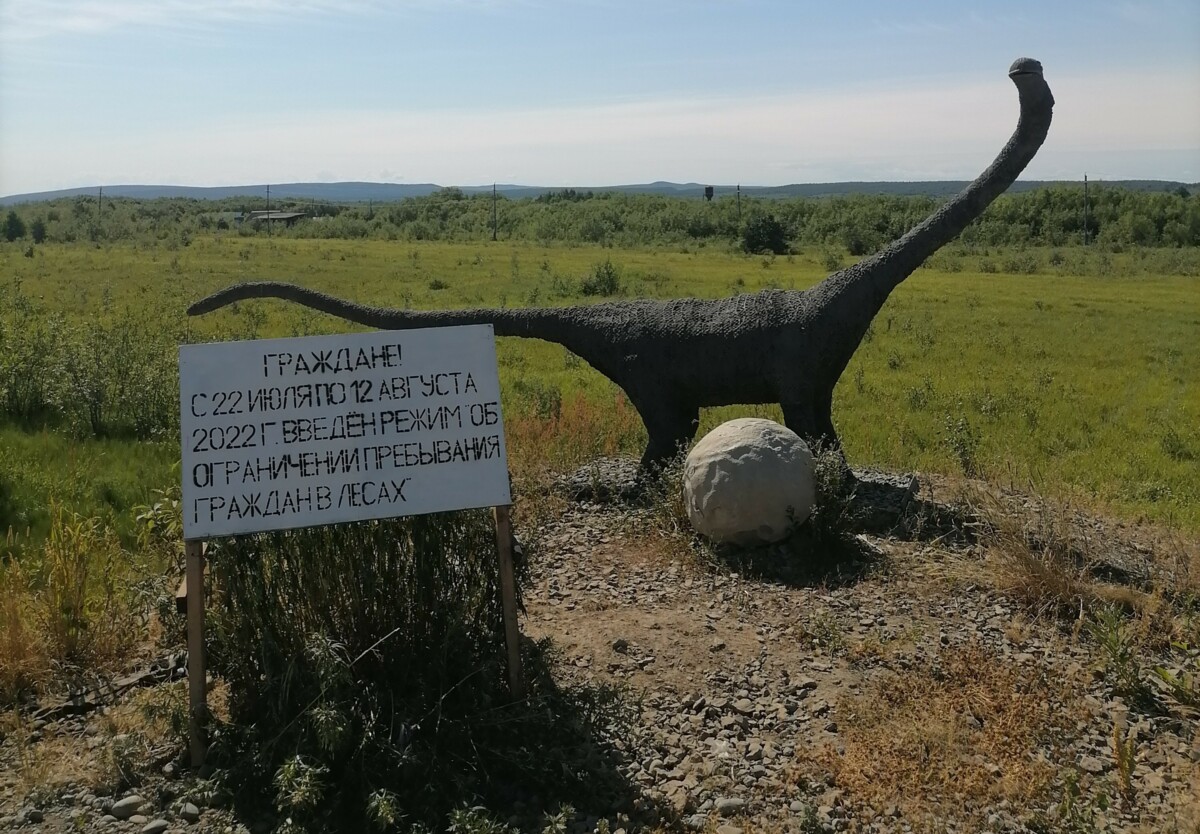 Ни одного пожара не выявлено в этом году на территории Тигильского лесничества на Камчатке